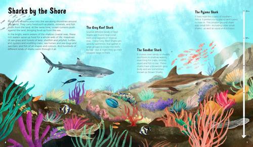 The World of Sharks - by Darcy Dobell - Hardcover