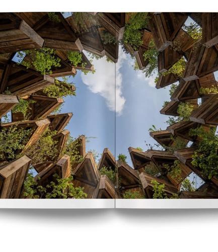 Wood - by David Andreu - Hardcover