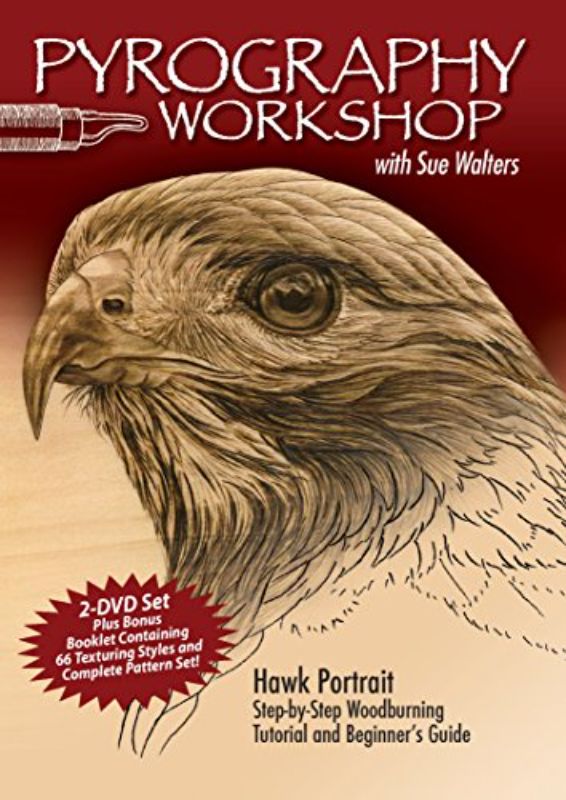 Pyrography Workshop with Sue Walters: Hawk Portrait Step-by-Step Woodburning Tut
