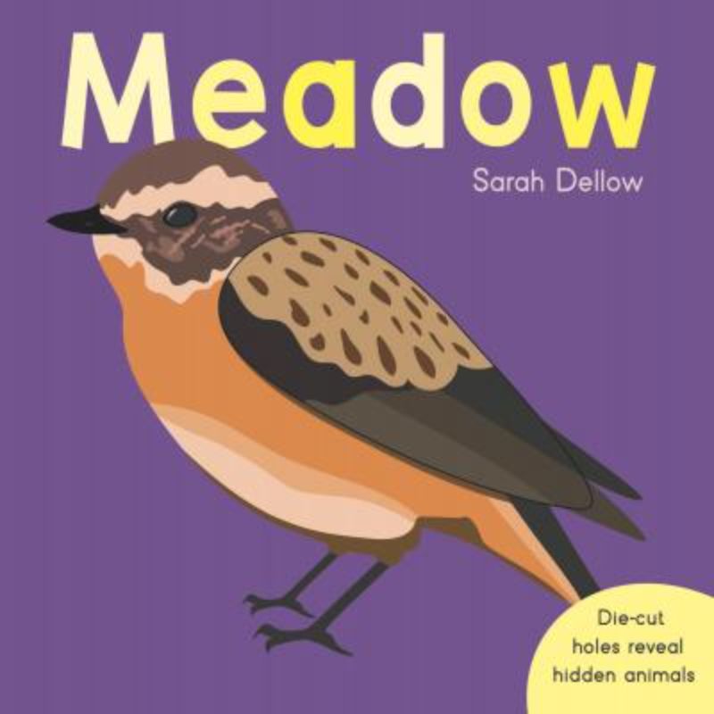 Now You See It : In The Meadow