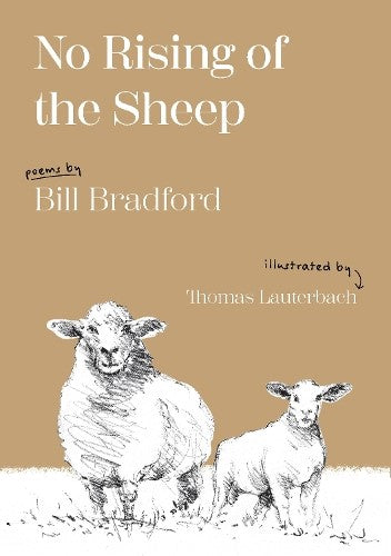 No Rising of the Sheep (Paperback)