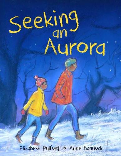 Seeking an Aurora (Paperback)