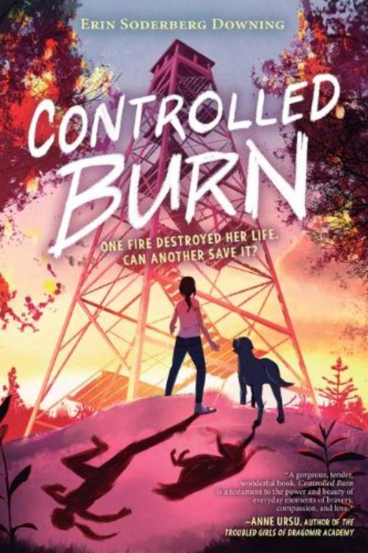 Controlled Burn
(Hardback)