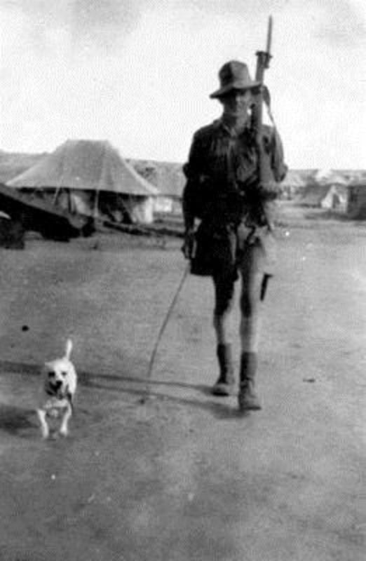 Horrie the War Dog