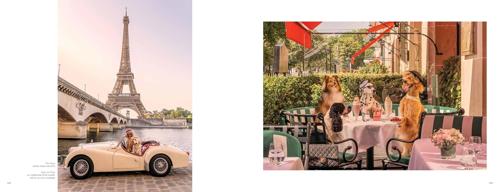 Gray Malin Dogs Photography Book