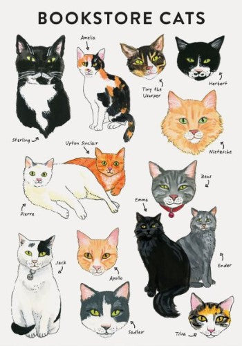 Bibliophile Flexi Journal - Bookstore Cats