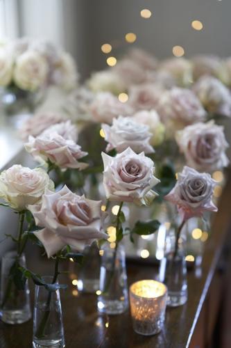 Dreaming in Petals