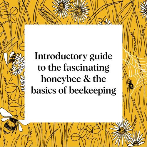 Pocket Nature: Beekeeping