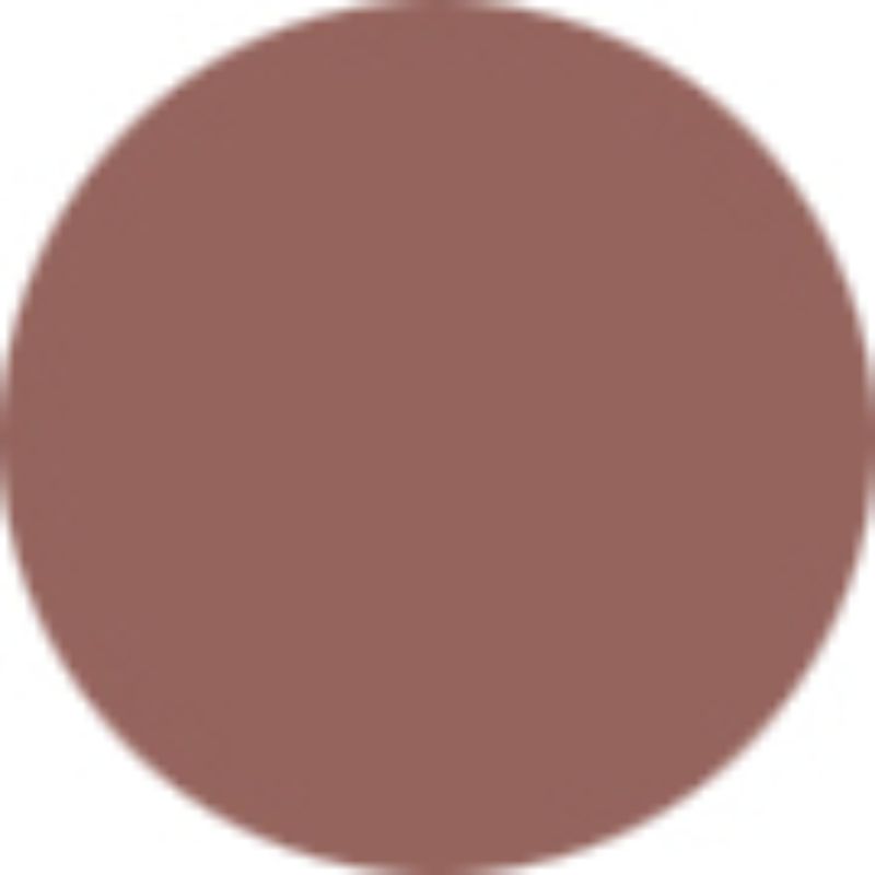 Sisley Phyto Lip Twist - # 1 Nude  2.5g/0.08oz