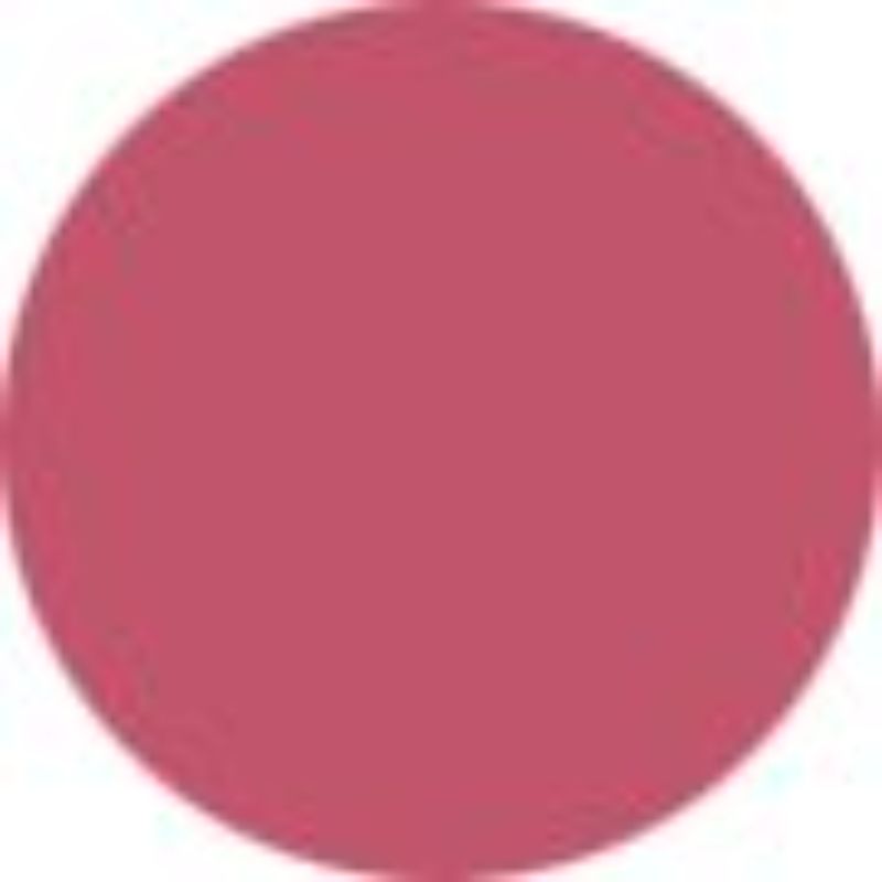 Shiseido ColorGel LipBalm - # 104 Hibicus (Sheer Warm Pink)  2g/0.07oz
