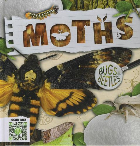 Bugs and Beetles: Moths