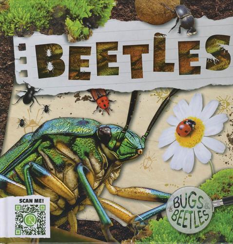 Bugs and Beetles: Beetles