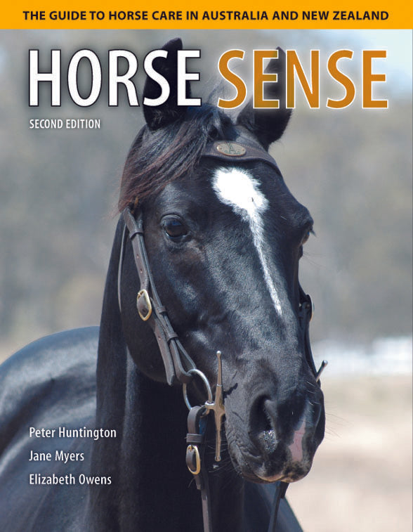 Horse Sense