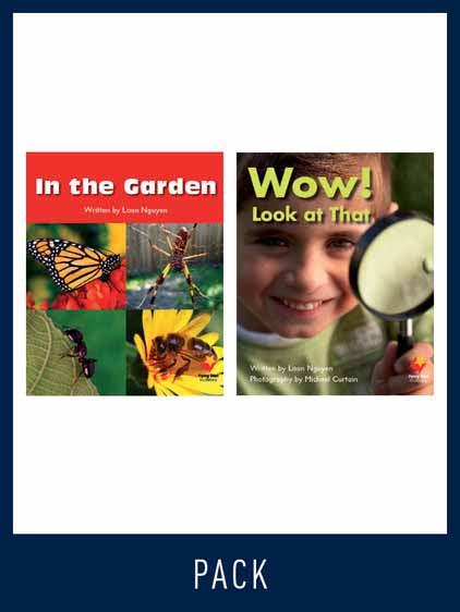 Flying Start Guided Reading Level 1, Pack 8