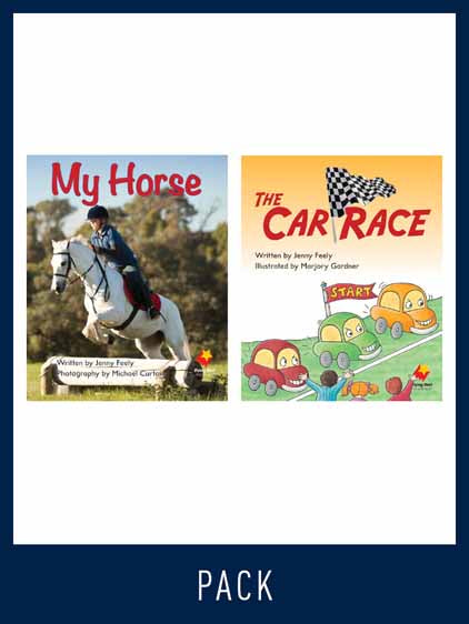 Flying Start Guided Reading Pack Level 3, Pack 1