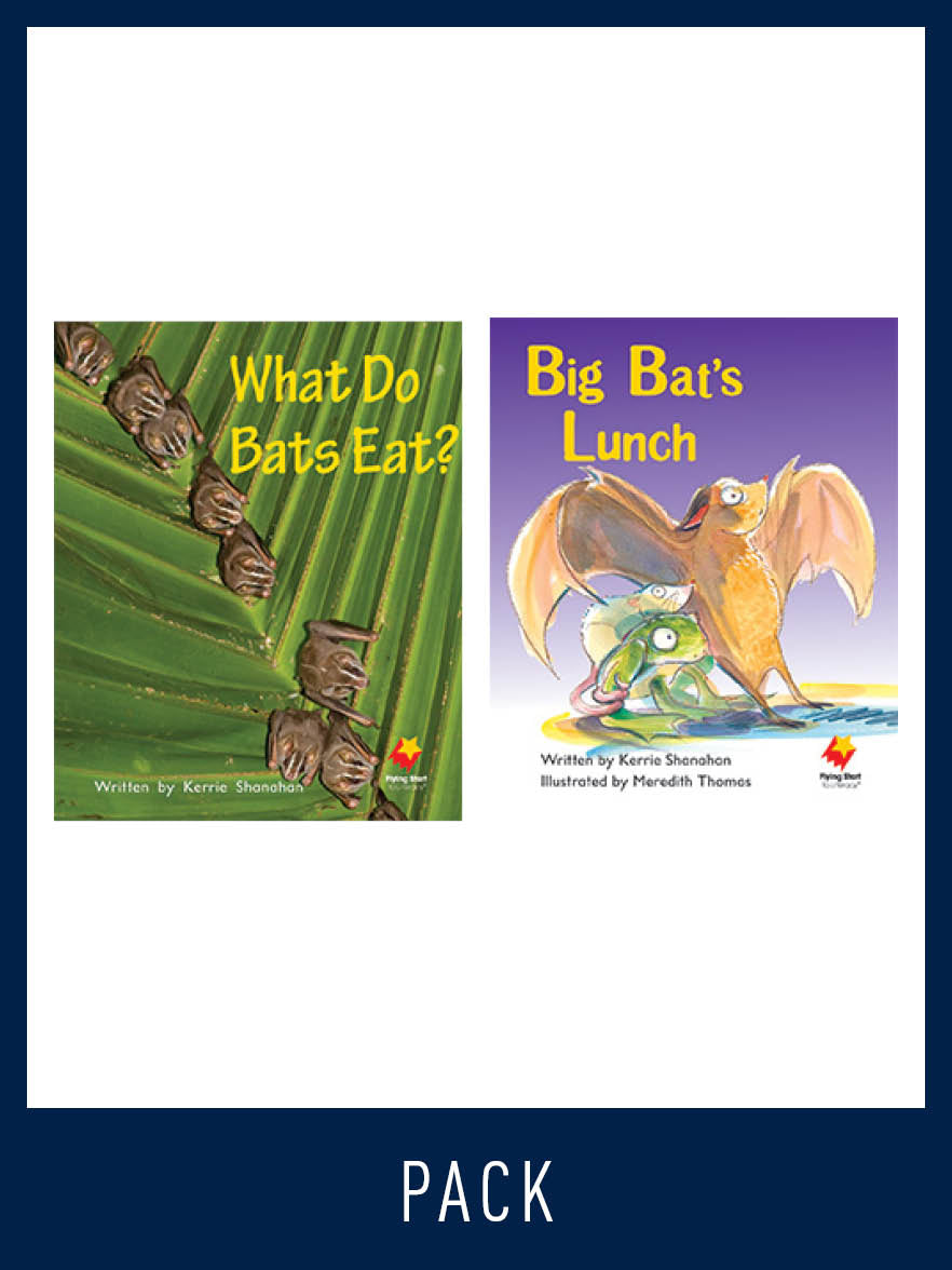Flying Start Guided Reading Pack Level 5, Pack 2