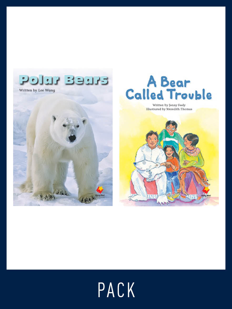 Flying Start Guided Reading Level 19, Pack 4