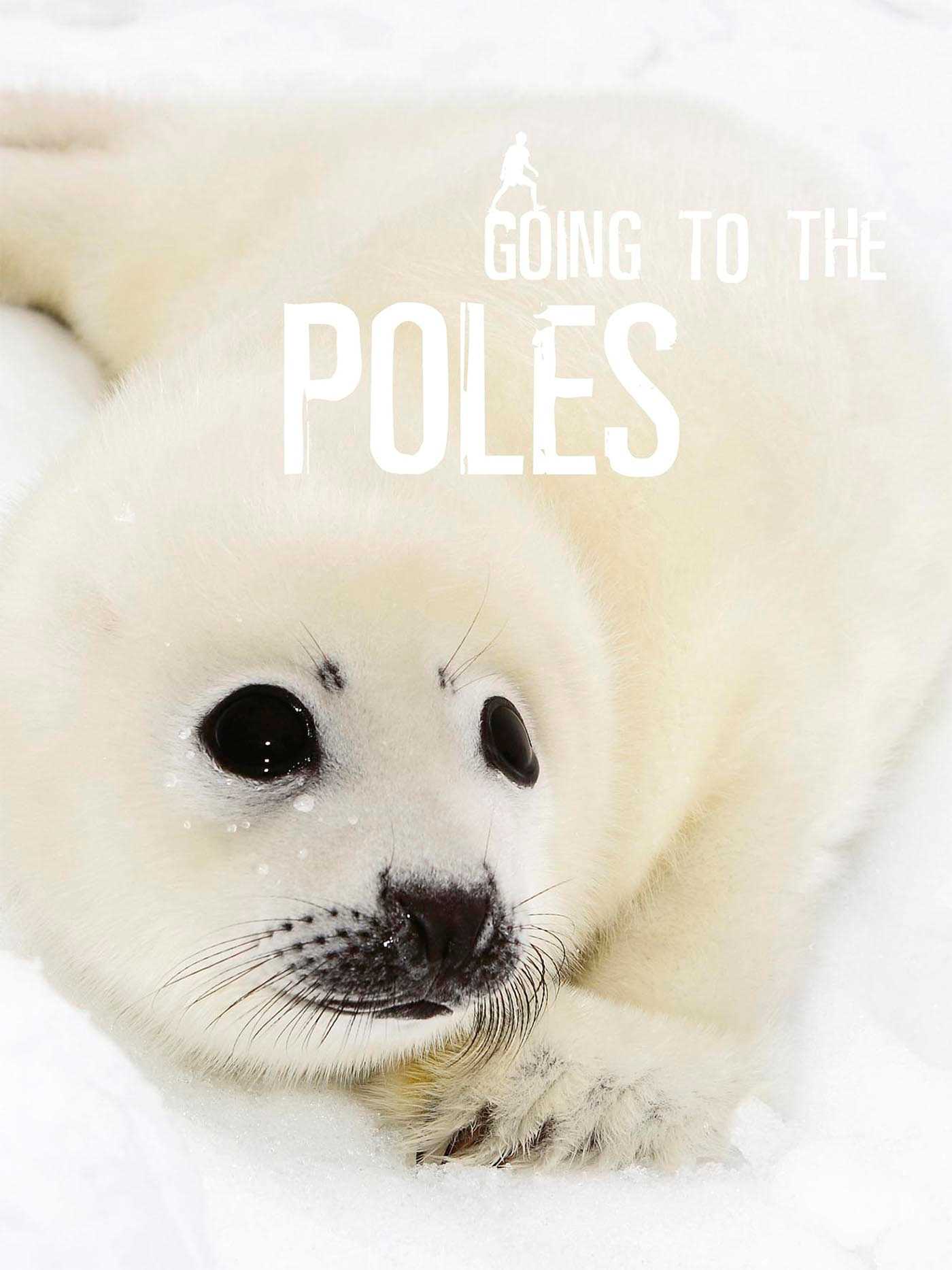 Going To the Poles