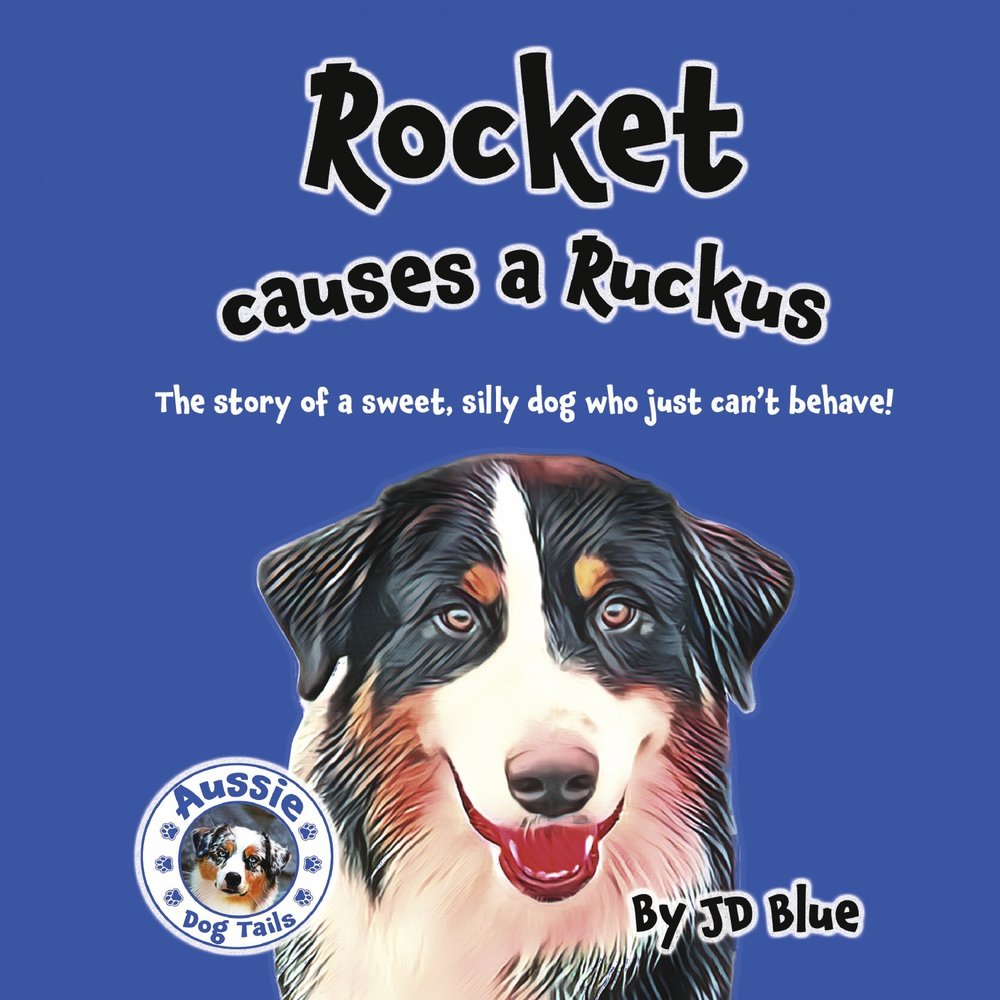 Rocket Causes A Ruckus
