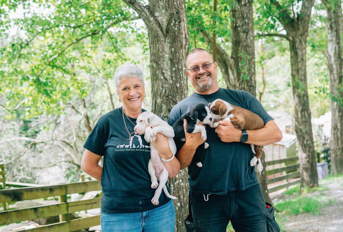 Good Dogs