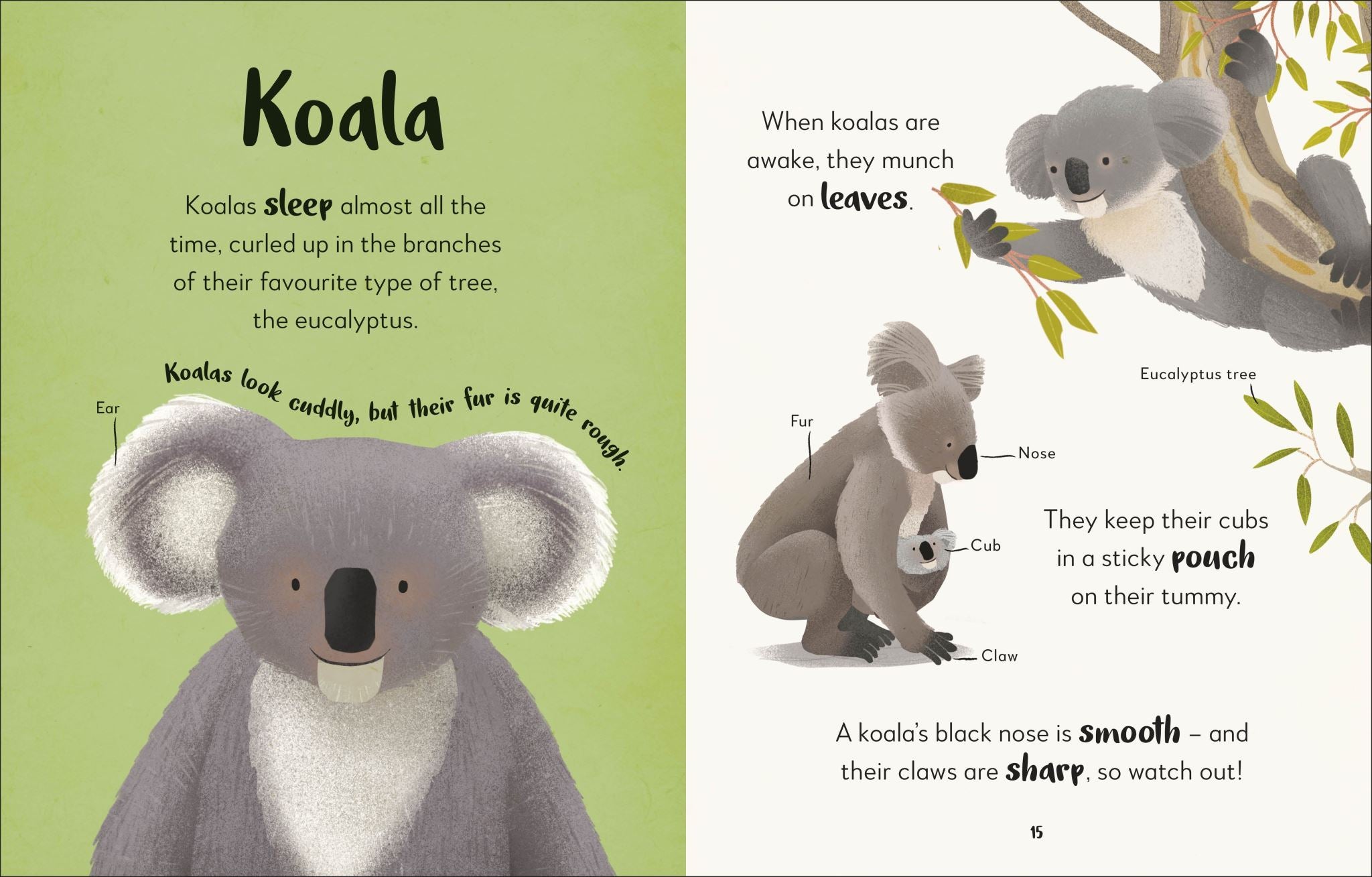 The Bedtime Book of Animals
