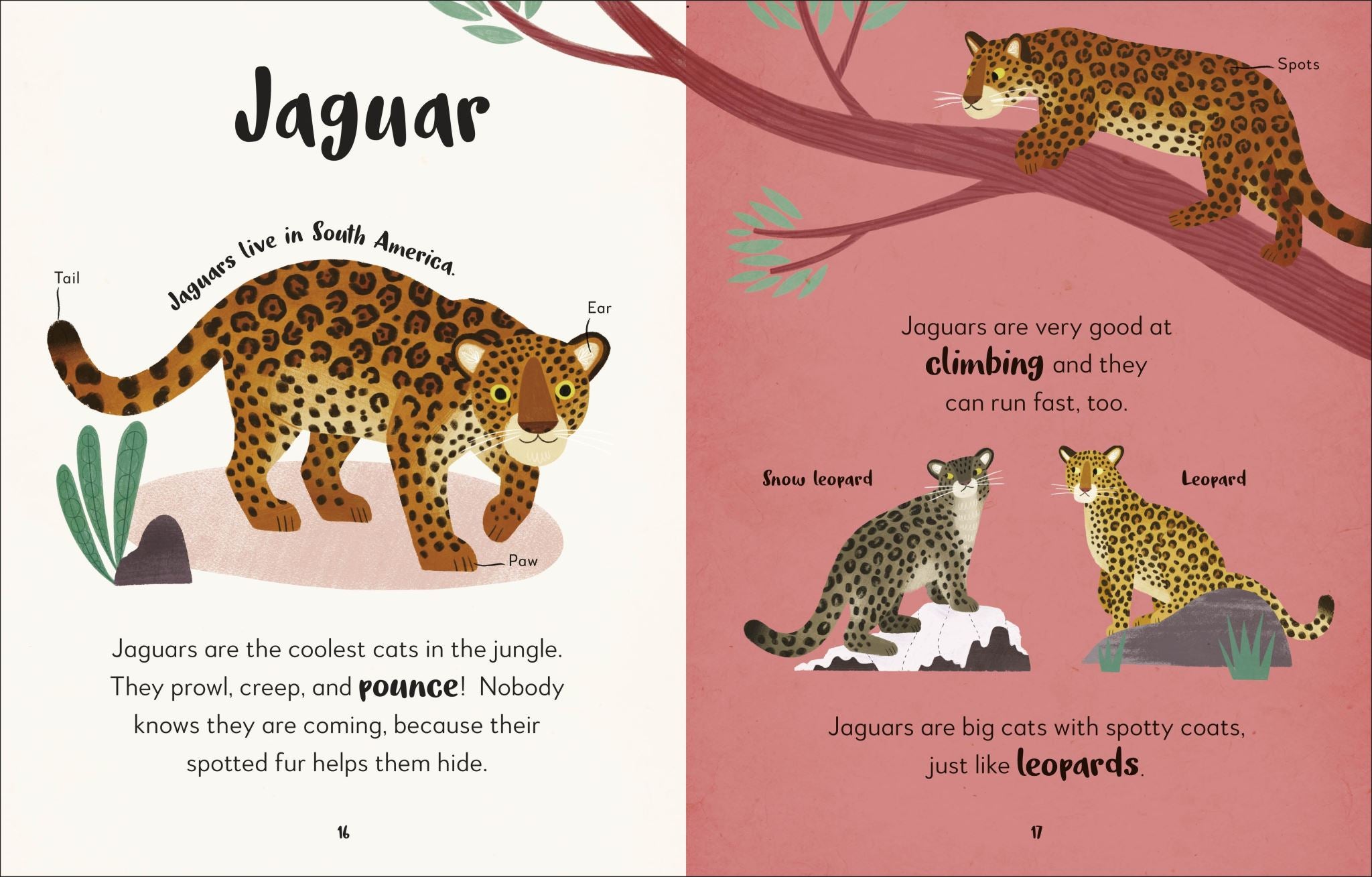 The Bedtime Book of Animals