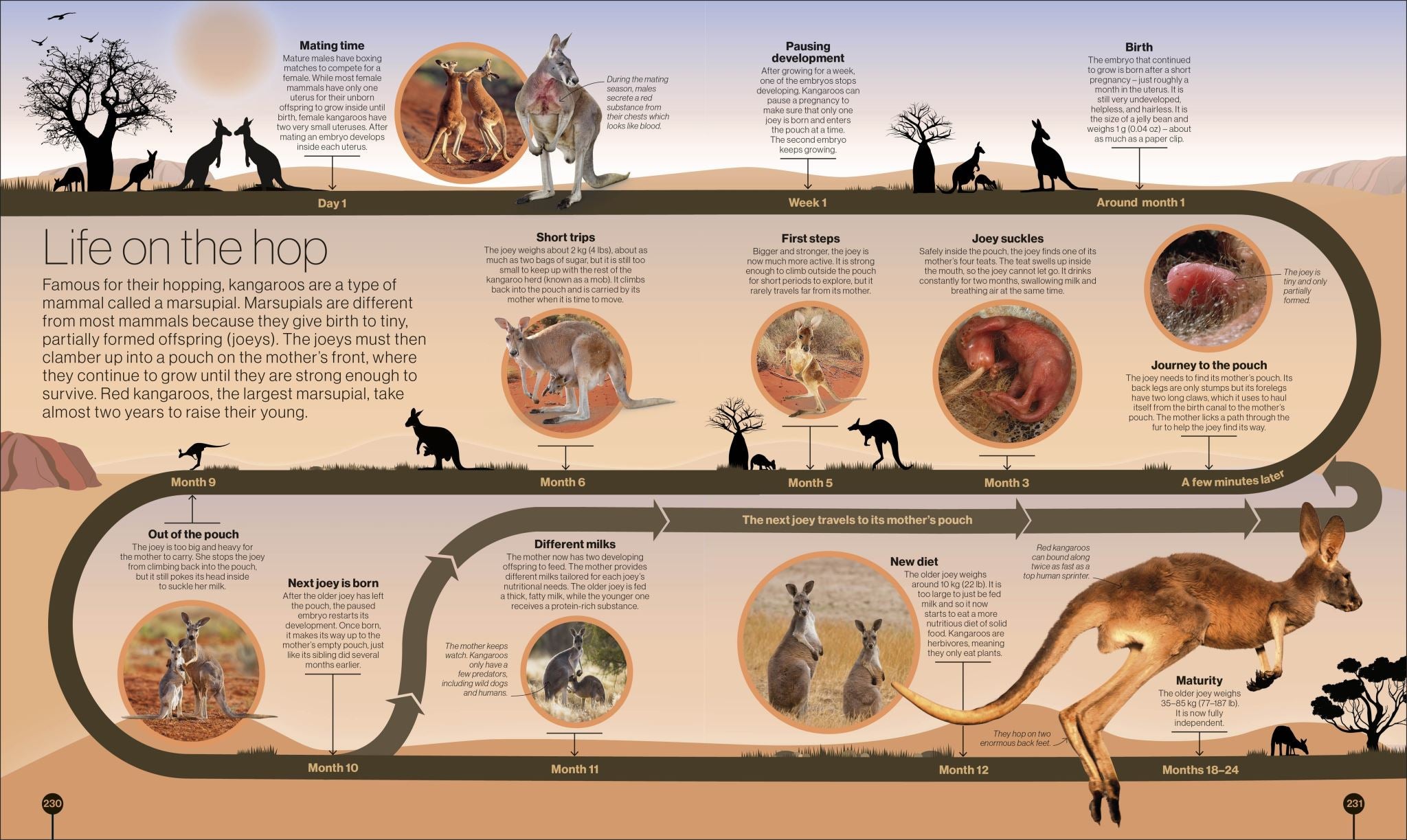 Timelines of Nature