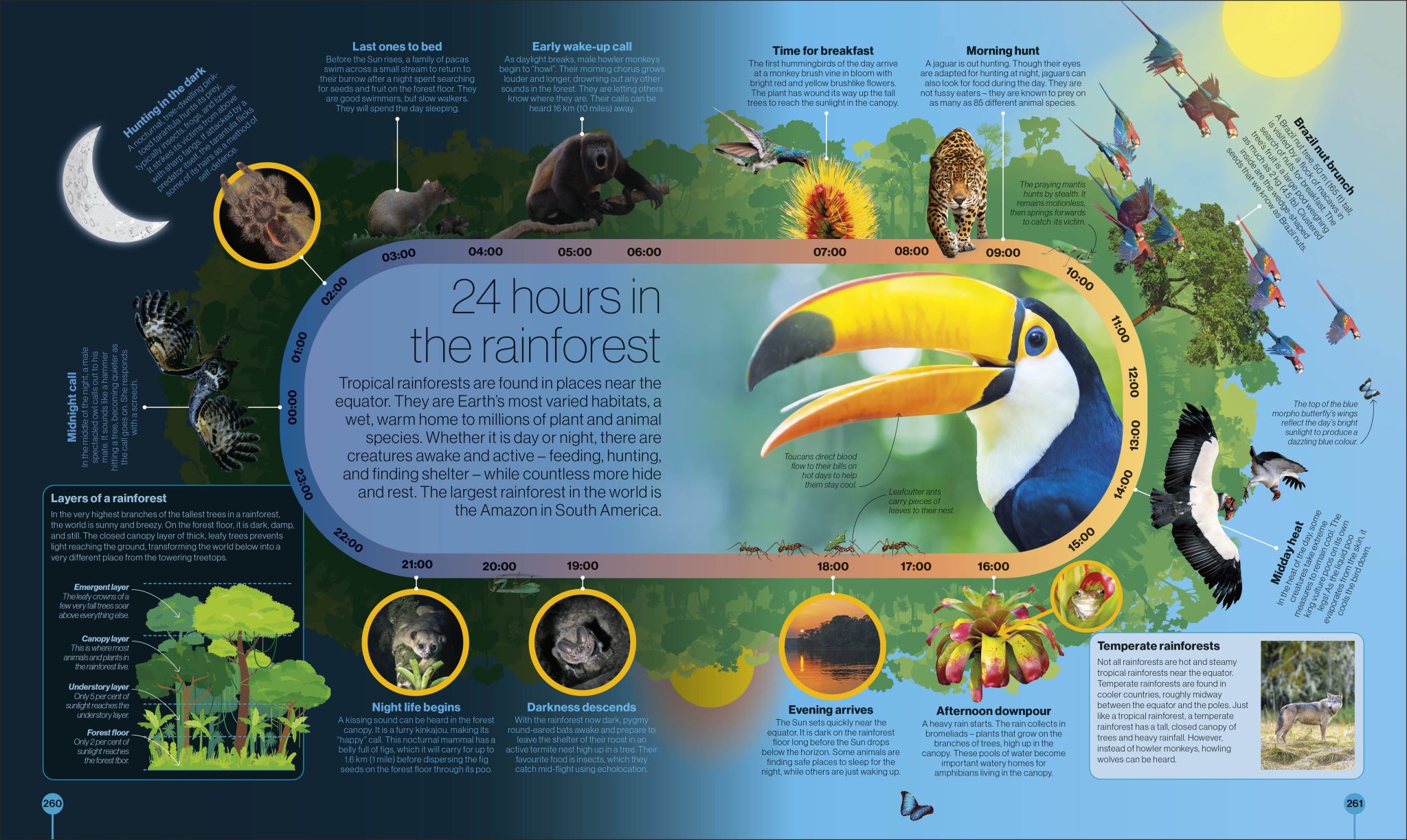 Timelines of Nature