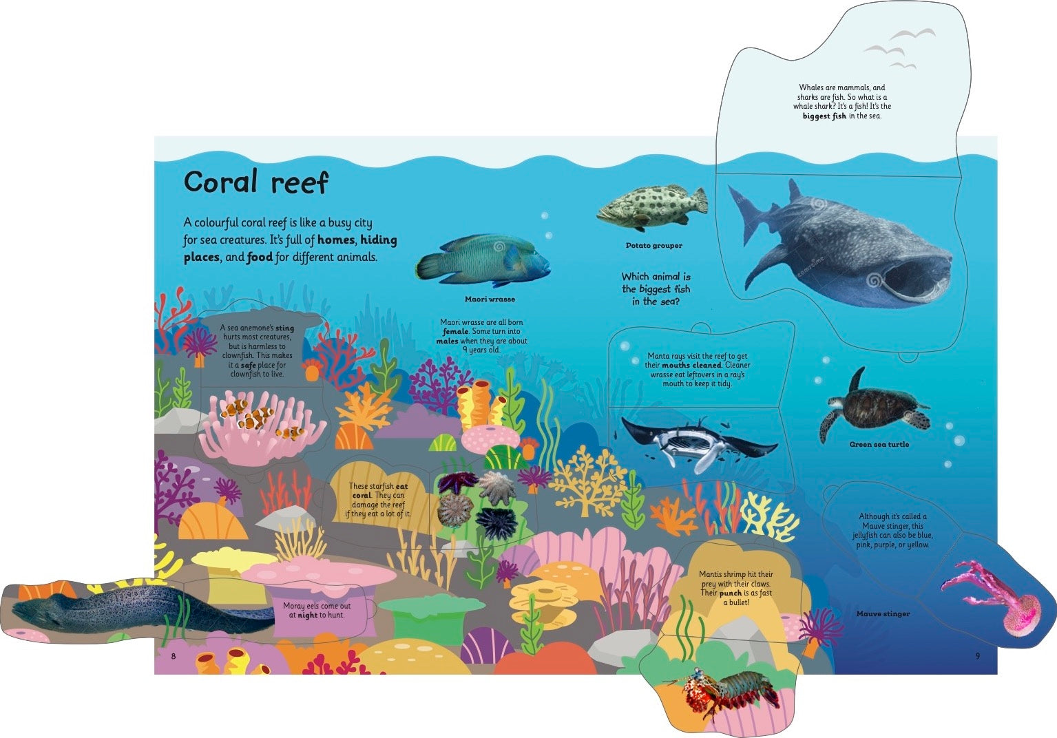 My Very Important Lift-the-Flap Book: Animals