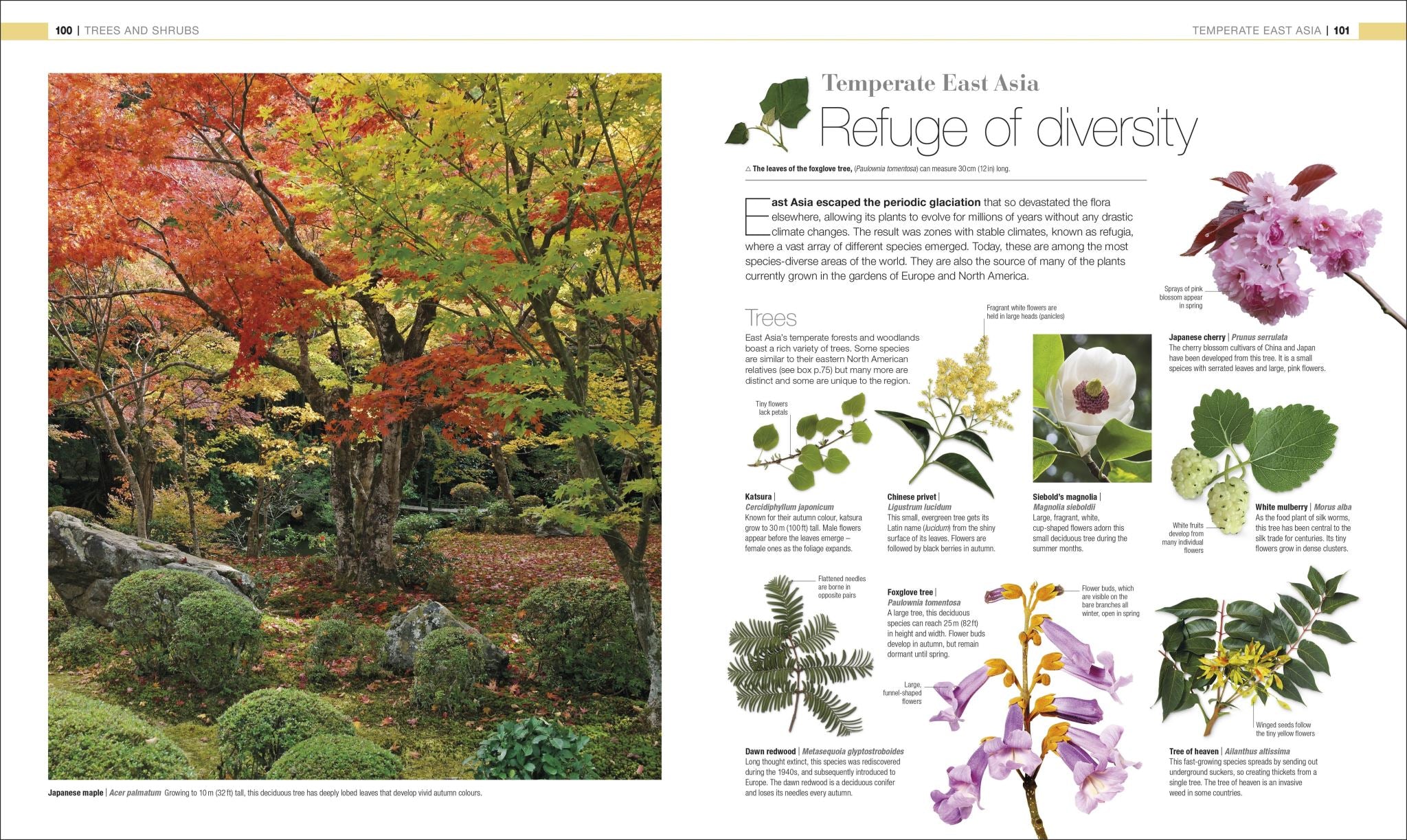 Plants and Fungi