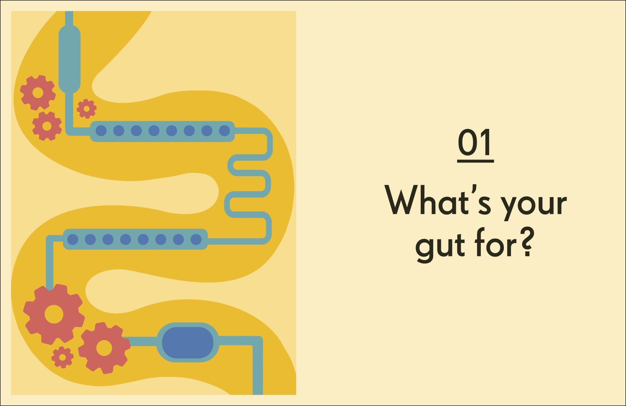 Gut