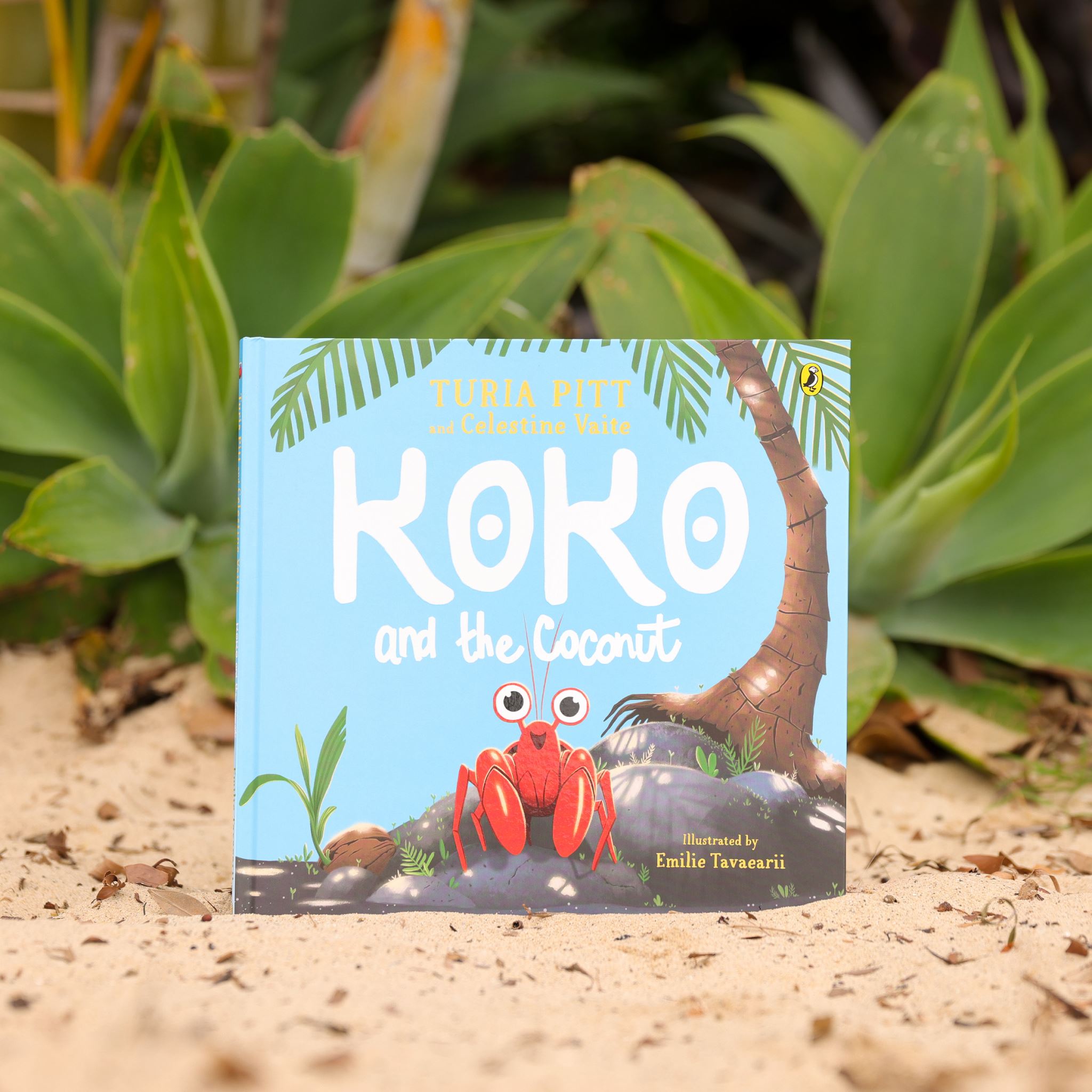 Koko and the Coconut