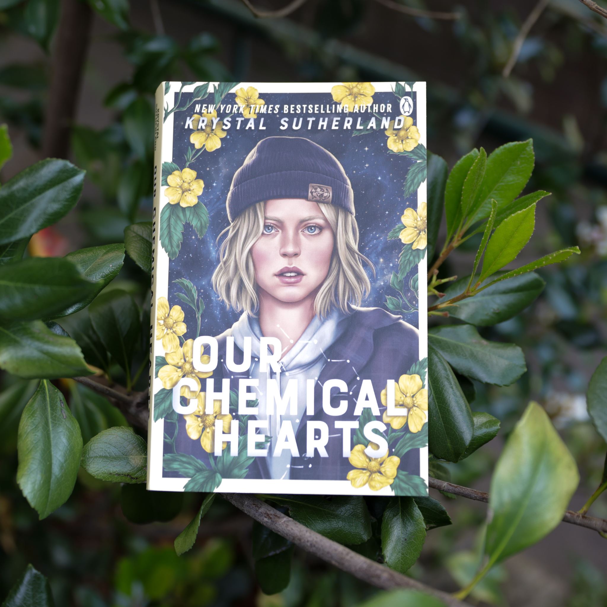 Our Chemical Hearts