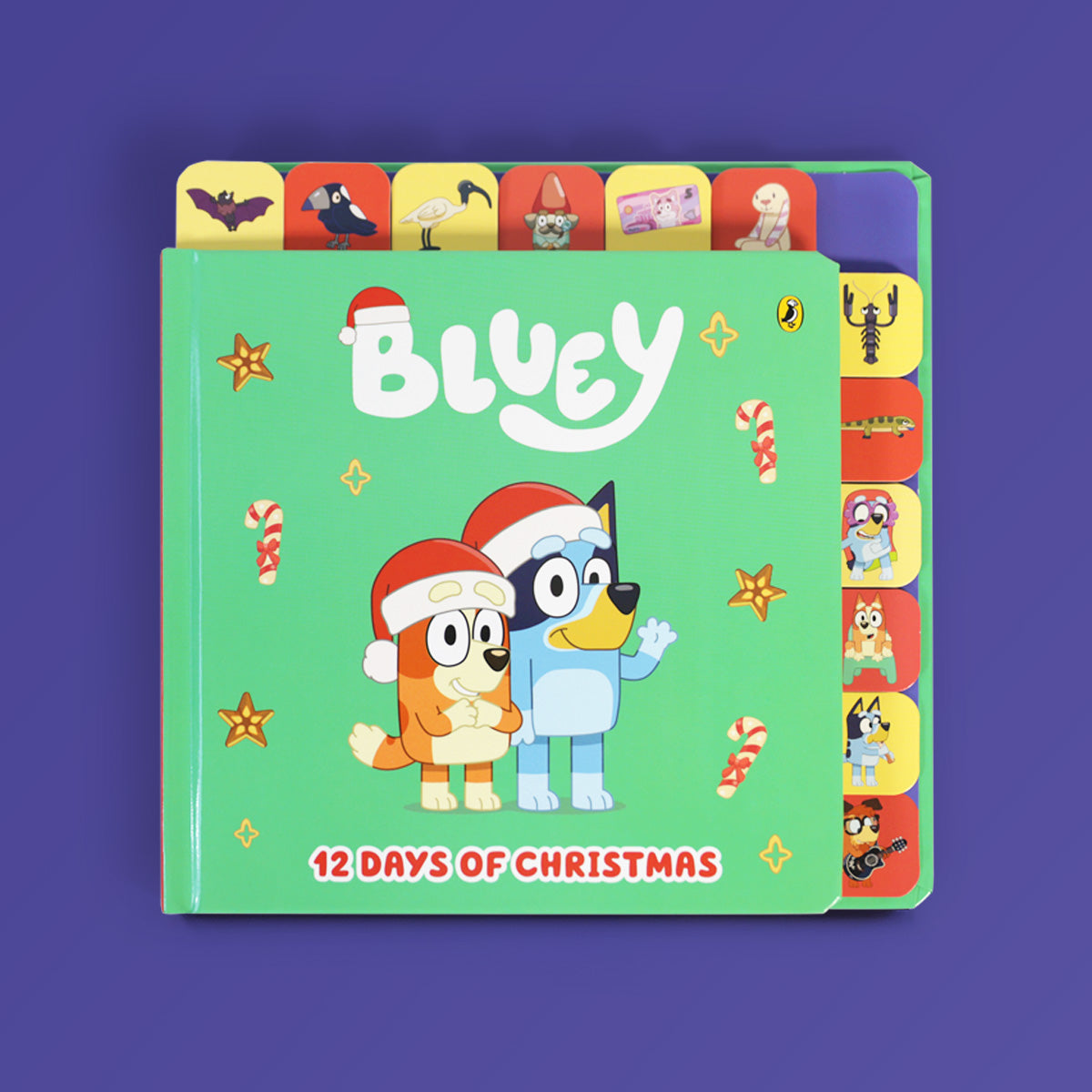 Bluey: 12 Days of Christmas