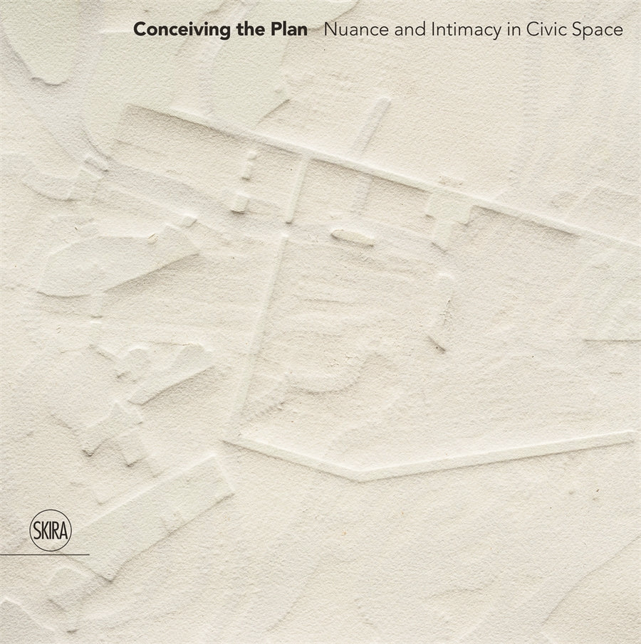 Conceiving the Plan