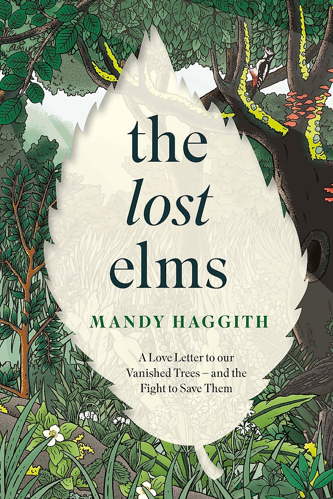 The Lost Elms: A Love Letter to Our Vanished Trees   and the Fight to Save Them