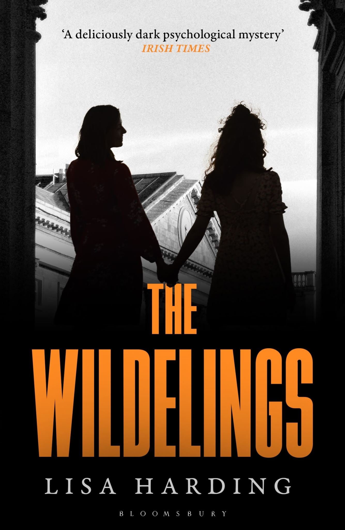 The Wildelings: 'A deliciously dark psychological mystery' IRISH TIMES