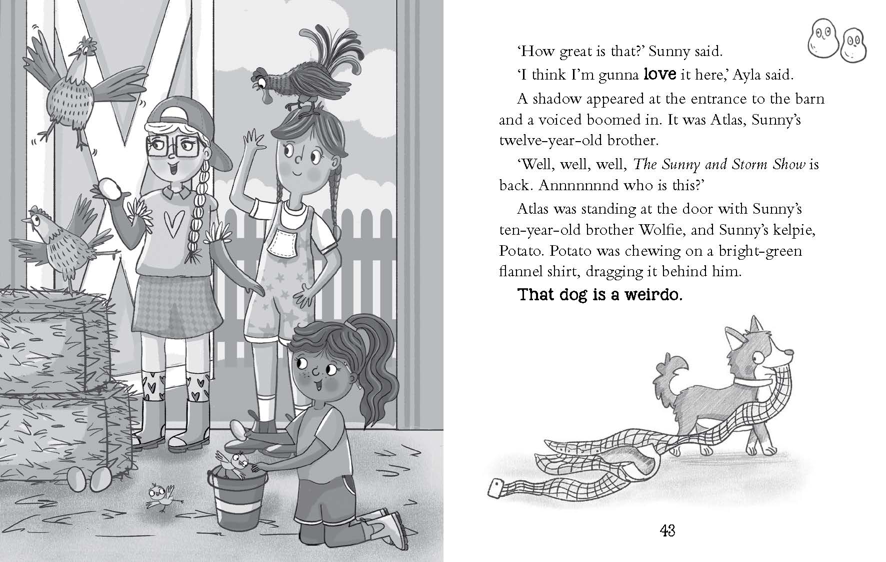 The Trouble with Chuffles: Sunny and Storm Book 2