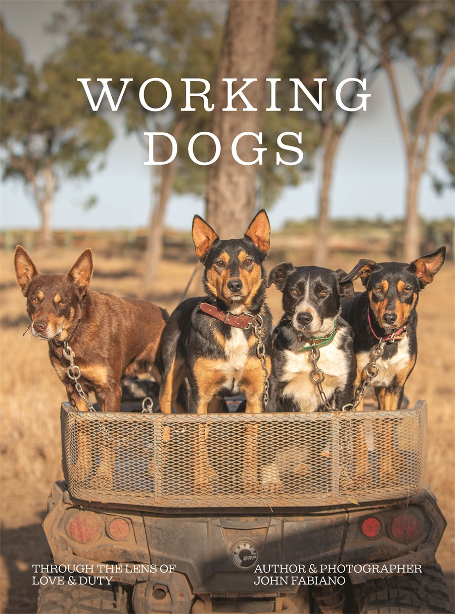 Working Dogs