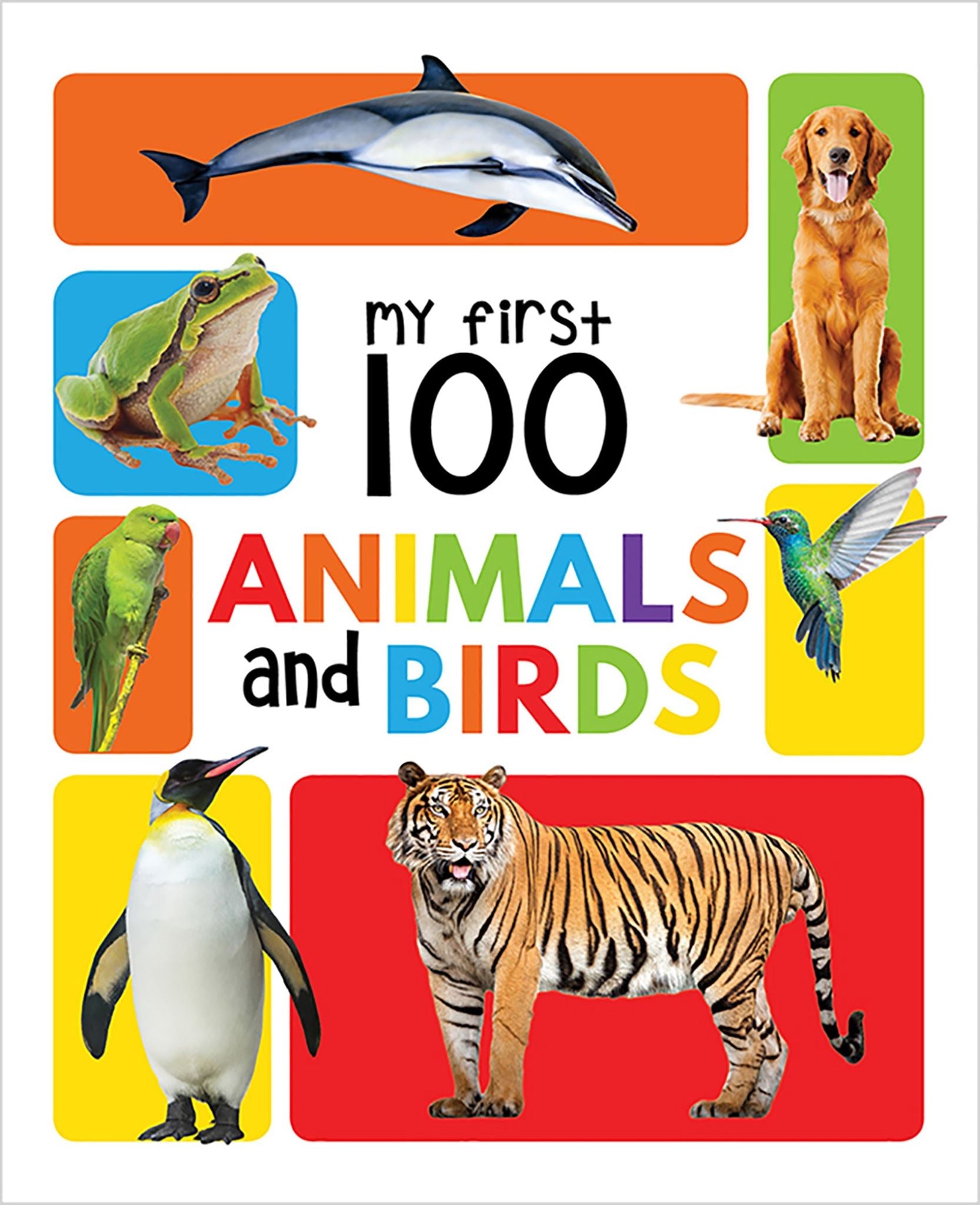 My First 100 Animals and Birds Board Book