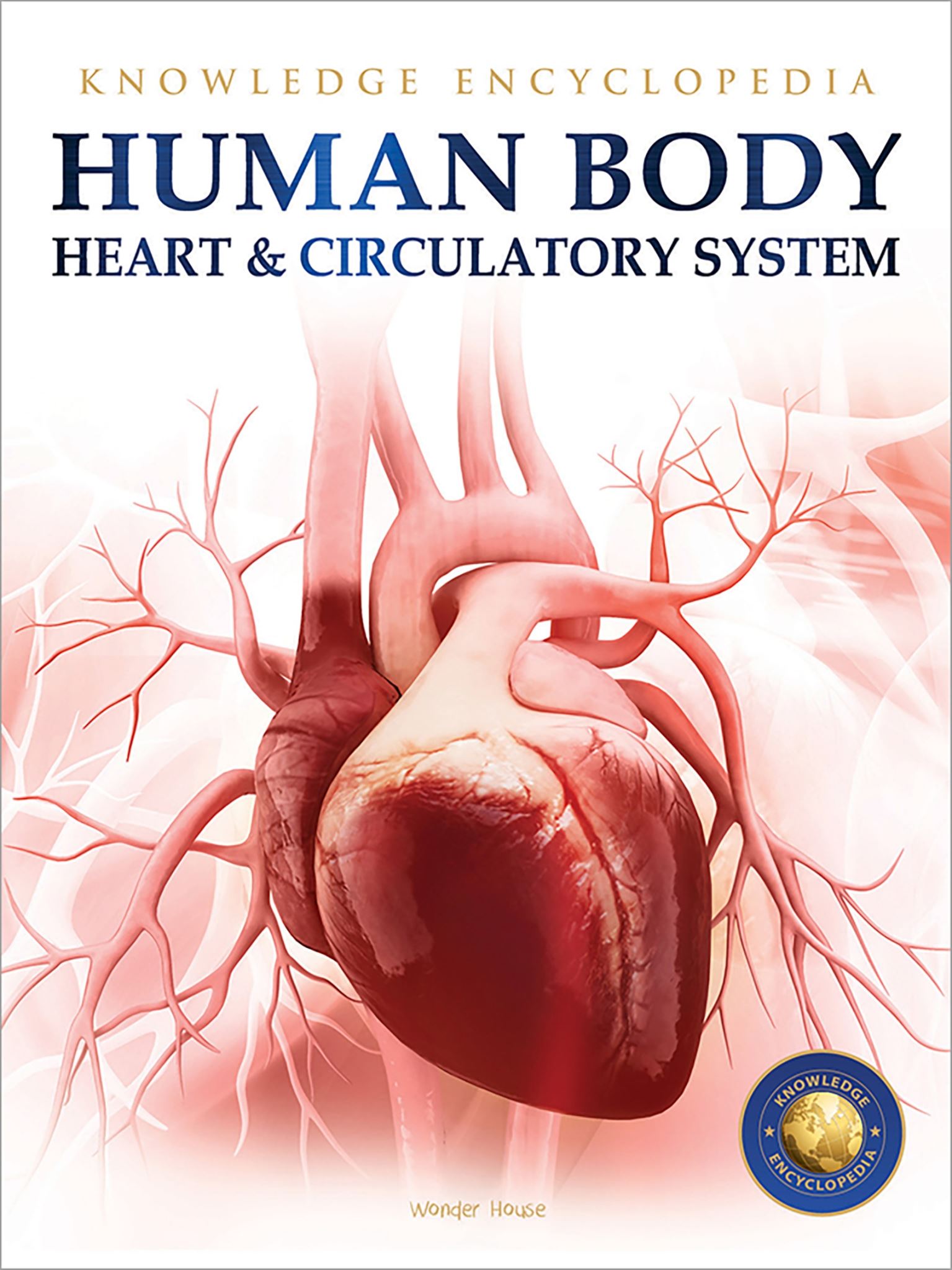 Human Body - Heart And Circulatory System