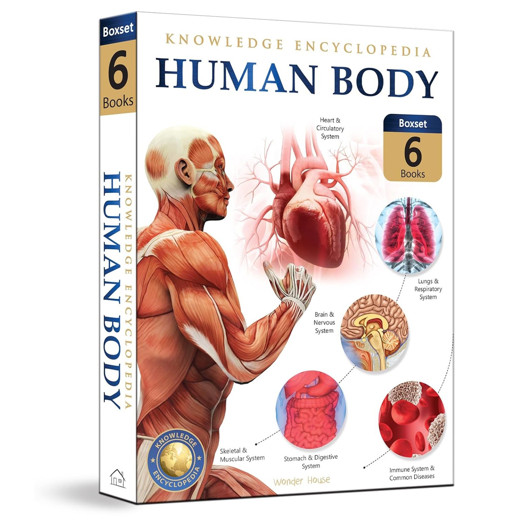 Human Body Box Set