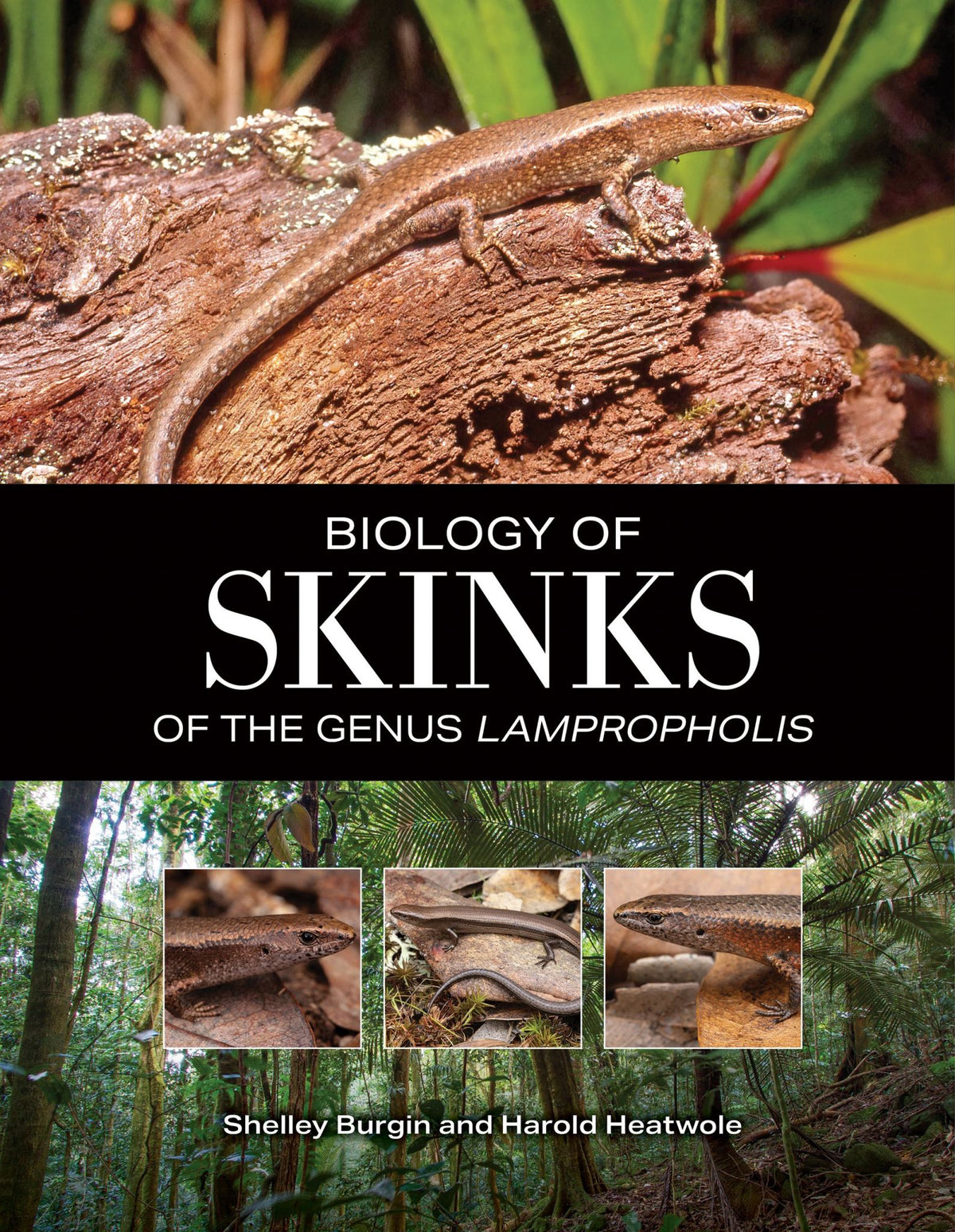 Biology of Skinks of the Genus Lampropholis