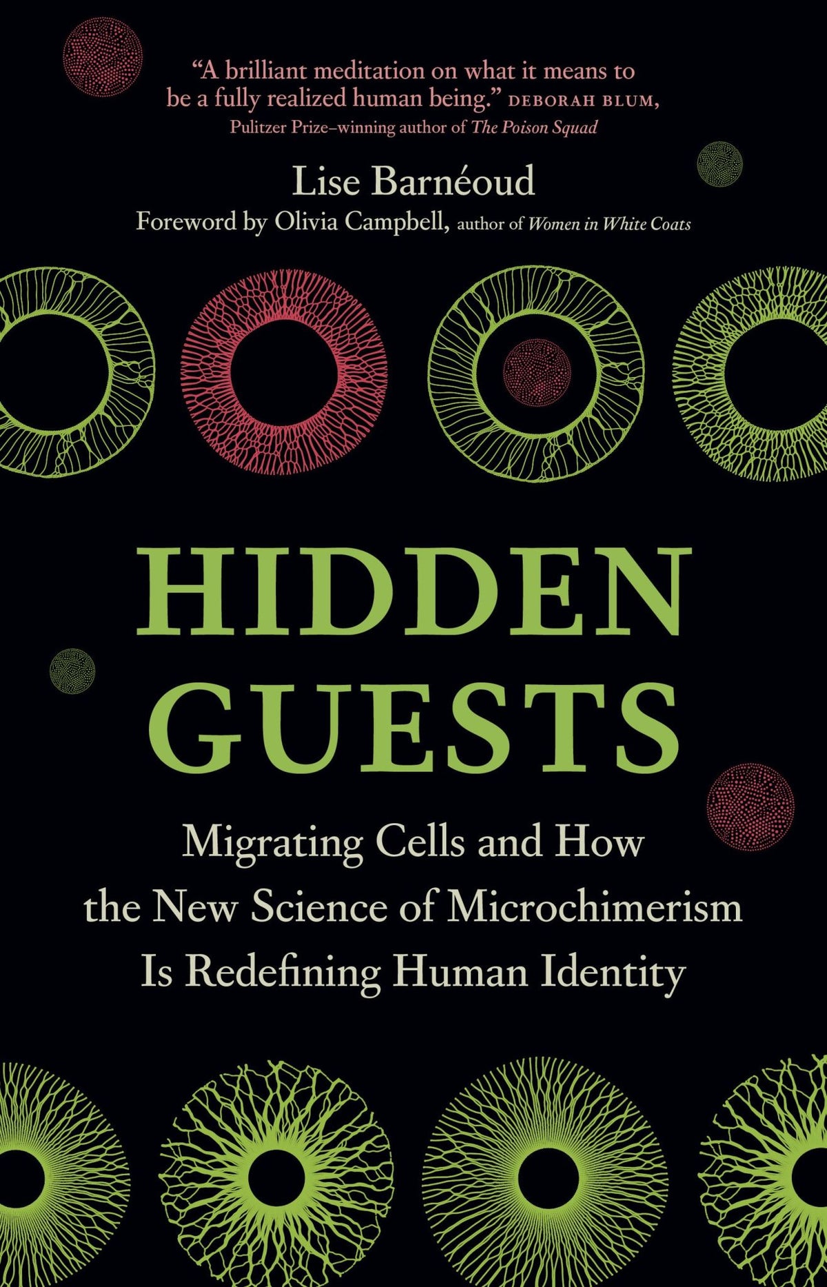 Hidden Guests