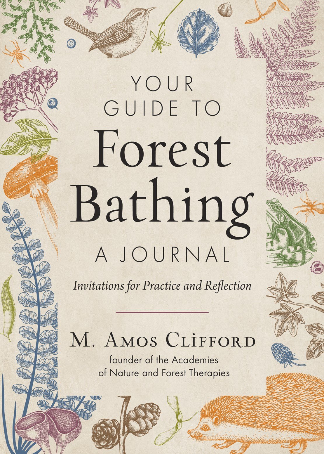 Your Guide to Forest Bathing  A Journal