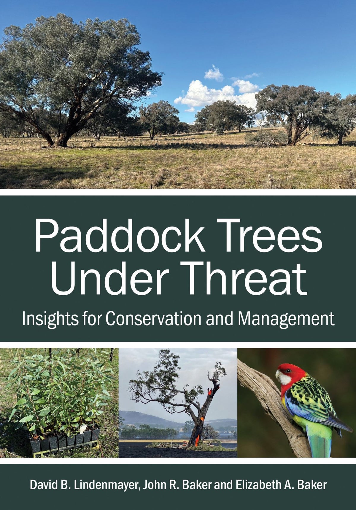 Paddock Trees Under Threat