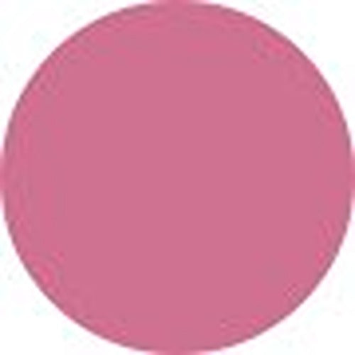 Youngblood Hydrating Liquid Lip Creme - # Chic (Matte) 4.5ml/0.15oz