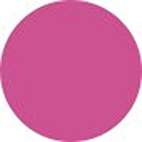 Clarins Natural Lip Perfector - # 19 Intense Smoky Rose 12ml/0.35oz