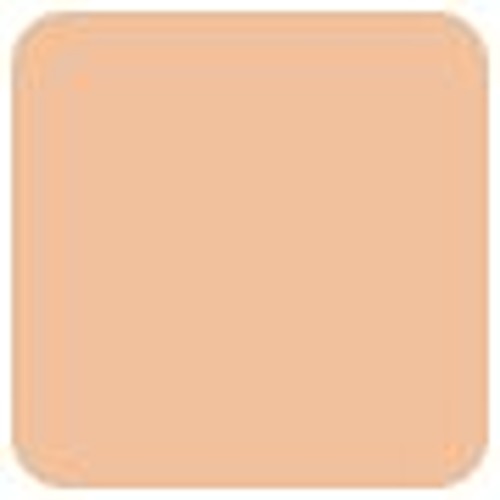 Clarins Everlasting Concealer - # 01 Light 12ml/0.4oz