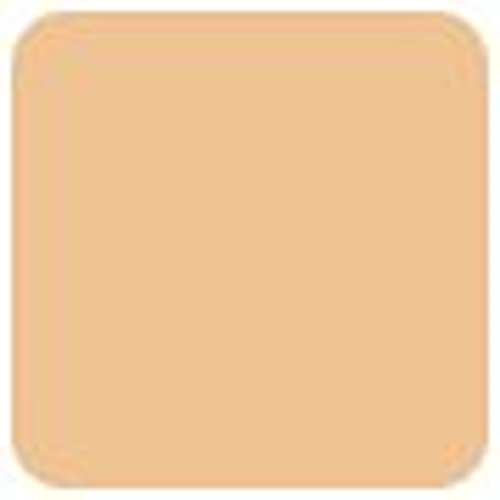 Elizabeth Arden Flawless Finish Skincaring Foundation - # 200N (Light Skin With